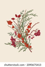 Winter bouquet. Vector botanical illustration. Viburnum, barberry, hawthorn, ilex, thuja and juniper branches.