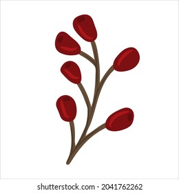 Winter branch with berries. Christmas floral illustration for invitations, greeting card, textile, fabric, posters.