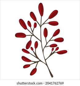 Winter branch with berries. Christmas floral illustration for invitations, greeting card, textile, fabric, posters.