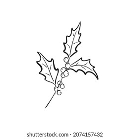 winter branch with berries. hand drawn vector floral element for christmas greeting card and invitation design