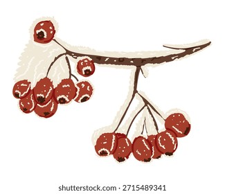 Winterzweig mit schneebedeckten Gruppen roter Eberesbeeren. Konzept der gefrorenen Natur, saisonale Stillleben und kalte Schönheit in der Wildnis