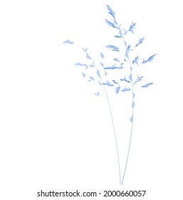 Winter. A branch of herbs covered with frost. Vector stock illustration. Snow. The invitation of December. A minimalist postcard. Frosty watercolor.