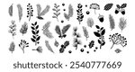 Winter branch leaf, Christmas tree, pine cone, plant hand drawn. Xmas fir, mistletoe, berry, black floral decoration, line needle twig, evergreen spruce, conifer set on transparent background. Vector