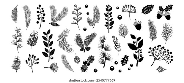 Winter branch leaf, Christmas tree, pine cone, plant hand drawn. Xmas fir, mistletoe, berry, black floral decoration, line needle twig, evergreen spruce, conifer set on transparent background. Vector