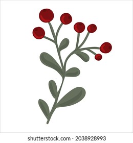 Winter branch with leaves and berries. Christmas floral illustration for invitations, greeting card, textile, fabric, posters.