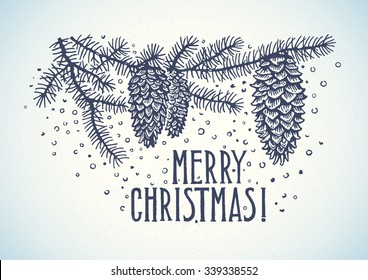 Winter branches spruce with cones, graphical design element. Vector illustration.