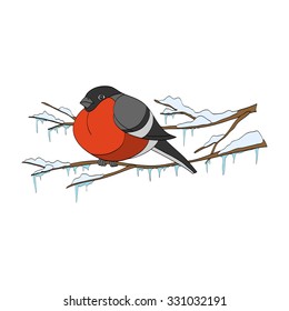 Winter. Bullfinch. Hand-drawn vector Illustration isolated on white background