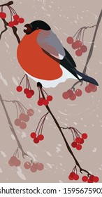 Winter. Bullfinch on rowan. Vector Illustration.