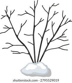 Winter bush vector illustration, dormant  plant in snow