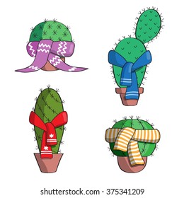 Winter. Cacti cold. Cactus knotted multicolored scarves.