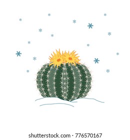 Winter cactus with flowers and snowflakes sky. New year illustration, card, poster