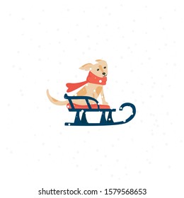 Winter card. Dog on a sled  Vector concept isolated on white background. Dog in a scarf.