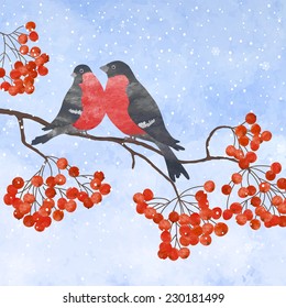 Winter card  with two bullfinches on a branch of rowan