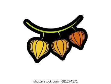 Winter cherry icon or logo in modern line style. Vector illustration on a white background.