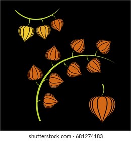 Winter cherry icon or logo in modern line style. Vector illustration on a black background.