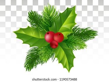 Winter Christmas decor. Branches of pine, leaves of padabe and red berries. A nice festive composition. Vector illustration. Eps 10.