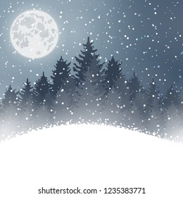 Winter christmas forest