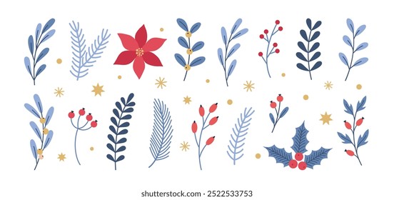 Winter Christmas hand drawn plants set. Christmas decoration elements. Holly, mistletoe, poinsettia, branches Xmas tree and pine tree, berries. Blue, red and gold colors. Vector flat illustration.