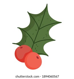 winter christmas holly berry decoration nature icon vector illustration