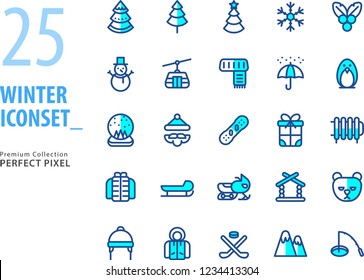 Winter & Christmas Iconset Premium Collection with perfect Pixel