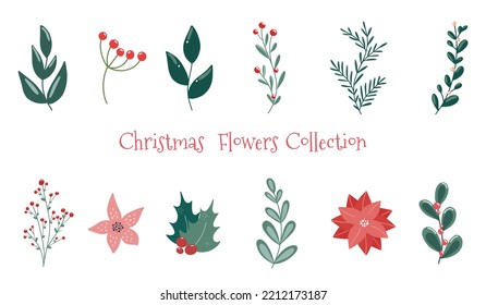 Hand drawn vector winter floral elements. Winter branches and