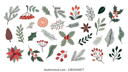 Winter christmas plants set. Botanical illustration