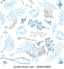 Winter christmas seamless pattern with twigs, berries, and leaves of plant isolated on white background. Hand-drawn vintage sketch botanical illustration Engraving style Flat color vector illustration