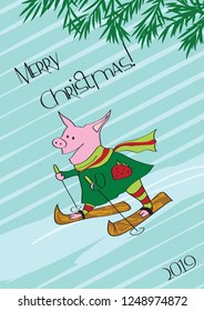 Winter, Christmas, skating pig