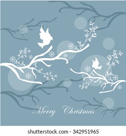 Winter and Christmas time
