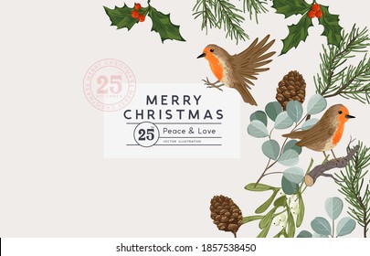 Winter christmas vintage layout design with robin birds and natural foliage including holly, pine, mistletoe and eucalyptus. Vector illustration.