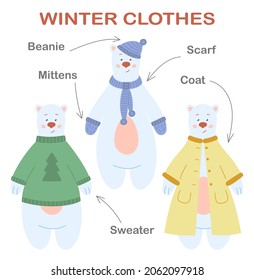 Winter clothing education poster. Cute polar bear in various clothes with English words.