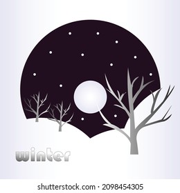 winter cold night and the moon shining