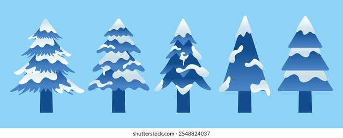 Winter Collection of Blue Pine Tree with Snow