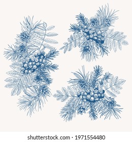 Winter collection. Bouquets with rowan, pine and spruce branches, cones. Vector botanical illustration. Blue and white. 