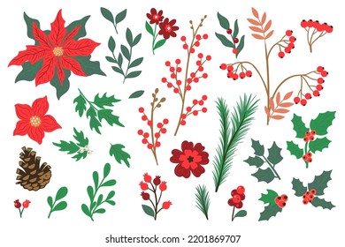 Winter collection of branches, berries, flowers isolated on white background. Vector graphics.