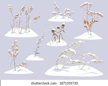 Winter collection snow covered meadow plants. Set of wild herbs and cereals under the snow isolated on gray background. Winter scenery fragments with simple dried grasses vector flat illustration. 