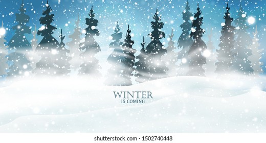 Winter is coming. Christmas, night, Snowy Woodland landscape. Holiday winter landscape for Merry Christmas with firs, coniferous forest, light, snow, snowflakes. Christmas scene. Happy new year.