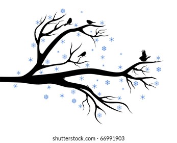 Winter composition with branch of tree and birds on it