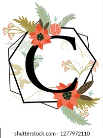 Winter concept alphabet, C