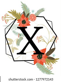 Winter concept alphabet, X