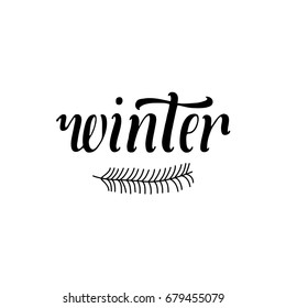 Winter concept with hand lettering. Hand written text. Brush lettering at white background with fir branch. Vector card design with calligraphy. Winter typography. Banner or flyer template. 