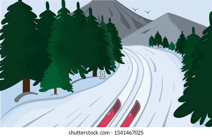 Winter coniferous forest.  Skiing trip.