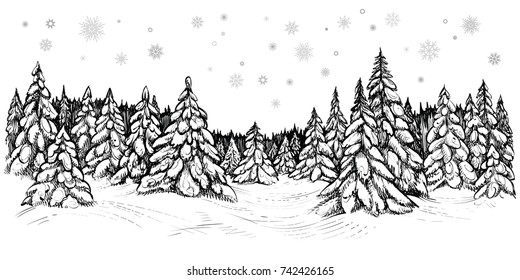 Winter coniferous trees forest