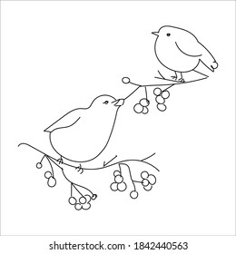 Winter Cozy mood concept. line art Two cute winter birds on the branches of a mountain ash. For your creative design. Outline abstraction. Modern Hand drawn vector illustration isolated on white