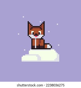 Winter cute fox with snow