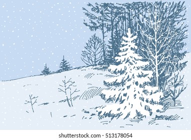 winter day in the forest