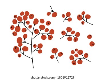 Winter decoration elements: branches with rowan berries. Christmas elements for greeting cards, wrapping papers, posters. Rowan branches isolated on white background