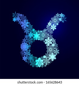 Winter decorations. Symbols of snowflakes. Signs of the zodiac