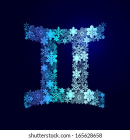 Winter decorations. Symbols of snowflakes. Signs of the zodiac