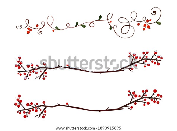 Winter decorations and\
text dividers. Winter berries snowy twig. Winter nature vines and\
branch ornaments.